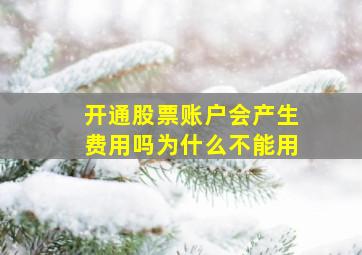 开通股票账户会产生费用吗为什么不能用