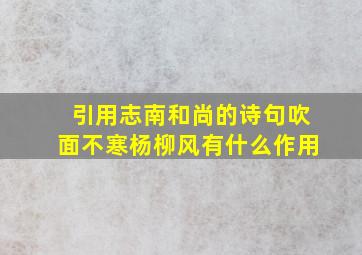 引用志南和尚的诗句吹面不寒杨柳风有什么作用