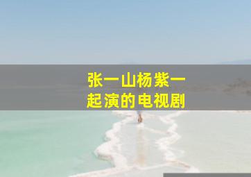 张一山杨紫一起演的电视剧