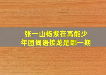 张一山杨紫在高能少年团词语接龙是哪一期