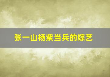 张一山杨紫当兵的综艺