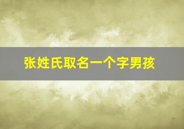 张姓氏取名一个字男孩