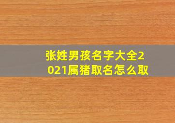 张姓男孩名字大全2021属猪取名怎么取