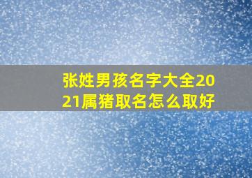 张姓男孩名字大全2021属猪取名怎么取好