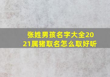 张姓男孩名字大全2021属猪取名怎么取好听