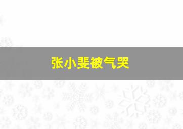 张小斐被气哭