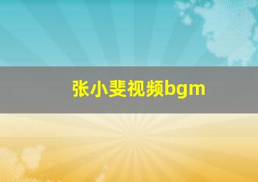 张小斐视频bgm