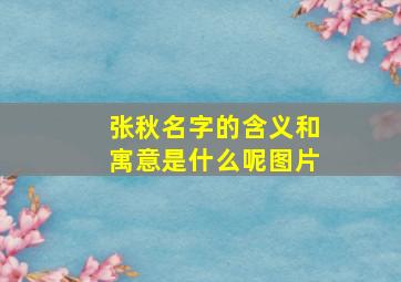 张秋名字的含义和寓意是什么呢图片