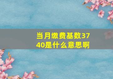 当月缴费基数3740是什么意思啊