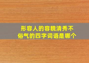 形容人的容貌清秀不俗气的四字词语是哪个