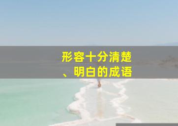 形容十分清楚、明白的成语