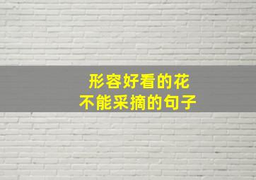 形容好看的花不能采摘的句子