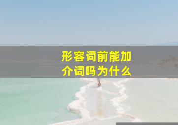 形容词前能加介词吗为什么