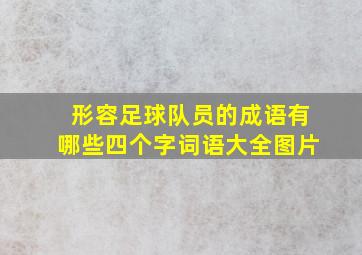 形容足球队员的成语有哪些四个字词语大全图片