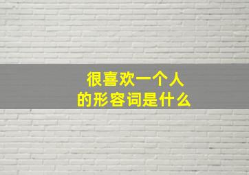 很喜欢一个人的形容词是什么