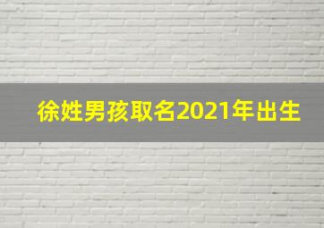 徐姓男孩取名2021年出生