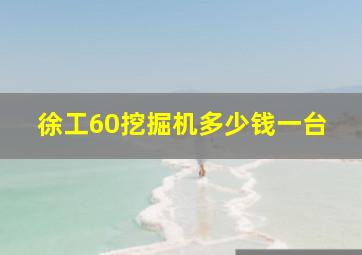 徐工60挖掘机多少钱一台