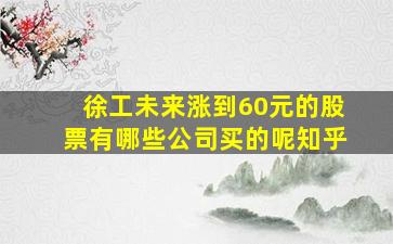 徐工未来涨到60元的股票有哪些公司买的呢知乎