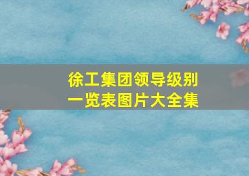 徐工集团领导级别一览表图片大全集