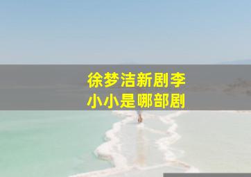 徐梦洁新剧李小小是哪部剧