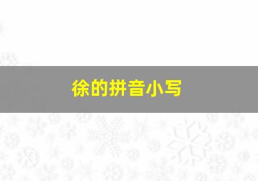 徐的拼音小写