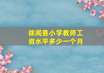 徐闻县小学教师工资水平多少一个月