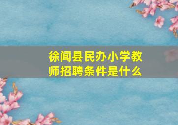 徐闻县民办小学教师招聘条件是什么