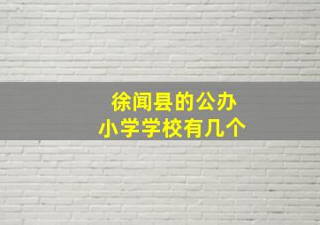 徐闻县的公办小学学校有几个