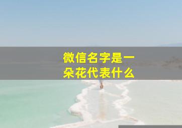 微信名字是一朵花代表什么