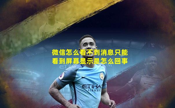 微信怎么看不到消息只能看到屏幕显示是怎么回事