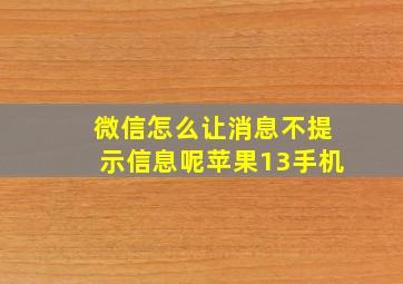 微信怎么让消息不提示信息呢苹果13手机