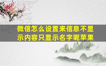 微信怎么设置来信息不显示内容只显示名字呢苹果