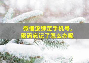 微信没绑定手机号,密码忘记了怎么办呢