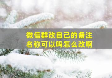 微信群改自己的备注名称可以吗怎么改啊