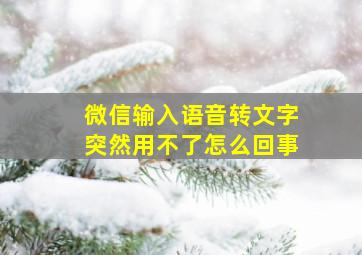 微信输入语音转文字突然用不了怎么回事