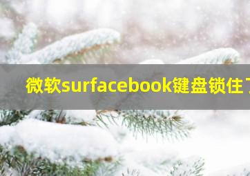 微软surfacebook键盘锁住了