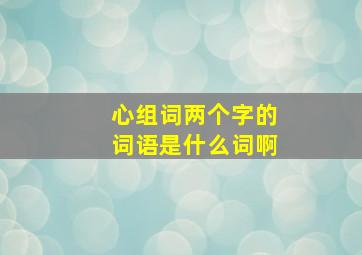 心组词两个字的词语是什么词啊