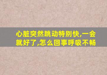 心脏突然跳动特别快,一会就好了,怎么回事呼吸不畅