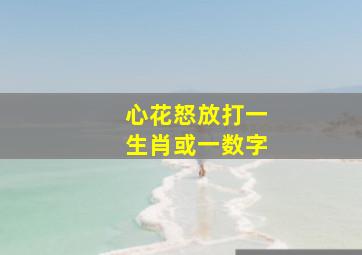 心花怒放打一生肖或一数字