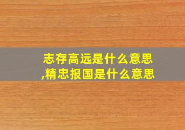 志存高远是什么意思,精忠报国是什么意思