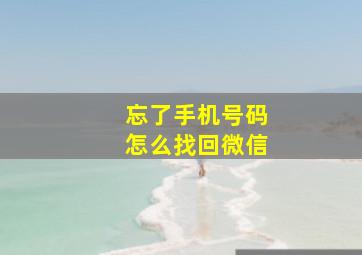 忘了手机号码怎么找回微信