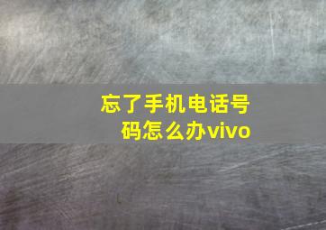 忘了手机电话号码怎么办vivo