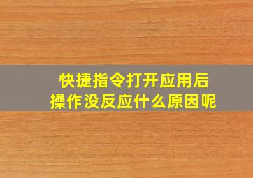 快捷指令打开应用后操作没反应什么原因呢