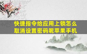 快捷指令给应用上锁怎么取消设置密码呢苹果手机