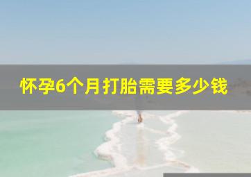 怀孕6个月打胎需要多少钱