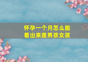 怀孕一个月怎么能看出来是男孩女孩