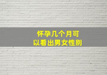 怀孕几个月可以看出男女性别