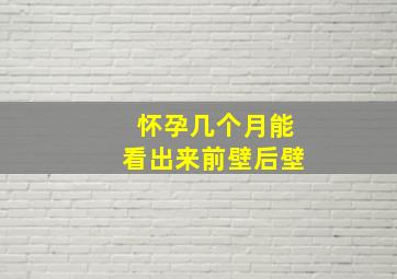 怀孕几个月能看出来前壁后壁