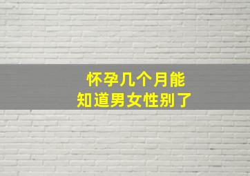 怀孕几个月能知道男女性别了