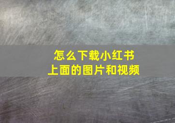 怎么下载小红书上面的图片和视频